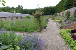 Capheaton Hall Garden