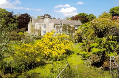 Hedgeley Hall Open Garden