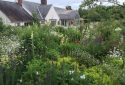 Kinky Cottage open garden day