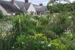 Red Cross open garden days in North East England