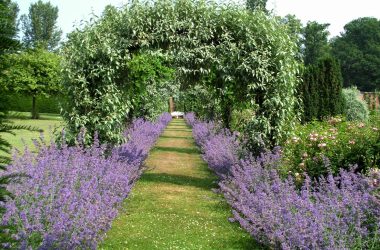 Lilburn Tower Open Garden Day