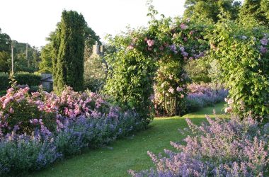 Lilburn Tower Open Gardens