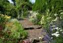 Mindrum House Open Garden