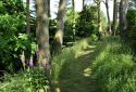 Mindrum House Open Garden