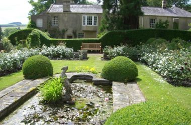 Newbrough Lodge open garden day