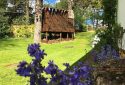 Midwood Lodge & Cottage - treehouse lodge