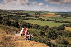 Corby crags, nr Edlingham