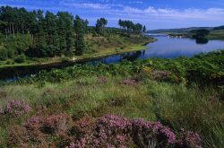 Enjoy scenic drives around Alnwick