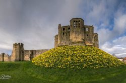 Warkworth Castle (© mikeridleyphotography.com)