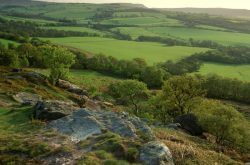 Corby Craggs, nr Edlingham, Northumberland