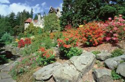 Cragside House Gardens & Estate (© graeme-peacock.com)