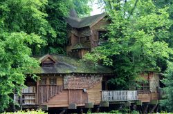 Alnwick Garden Treehouse (Lindsay Gill)