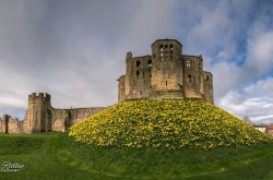 Warkworth Castle (© Mike Ridley)