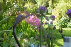 NGS open garden days in North East England