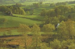 Coquetdale, Northumberland © gramme-peacock.com