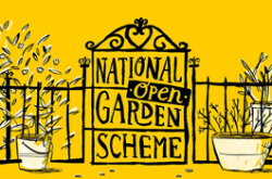 National Garden Scheme