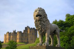 Lion Bridge & Alnwick Castle