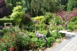 Beacon NGS open garden