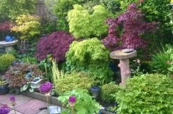 Bede Cresent NGS open garden