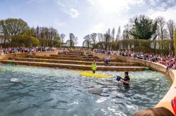 Alnwick Duck Race