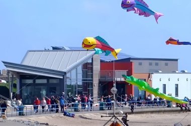 Autumn Expo